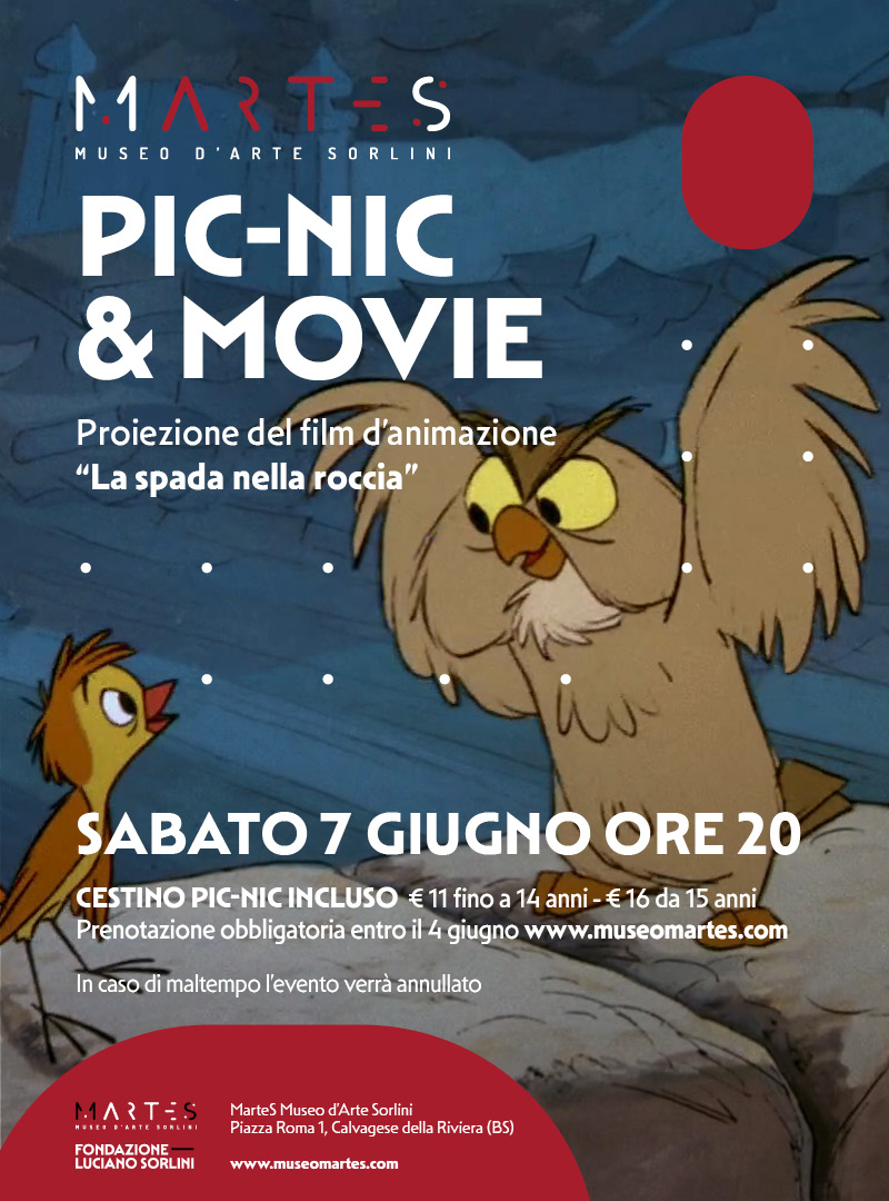 Pic-nic & movie – “La spada nella roccia”